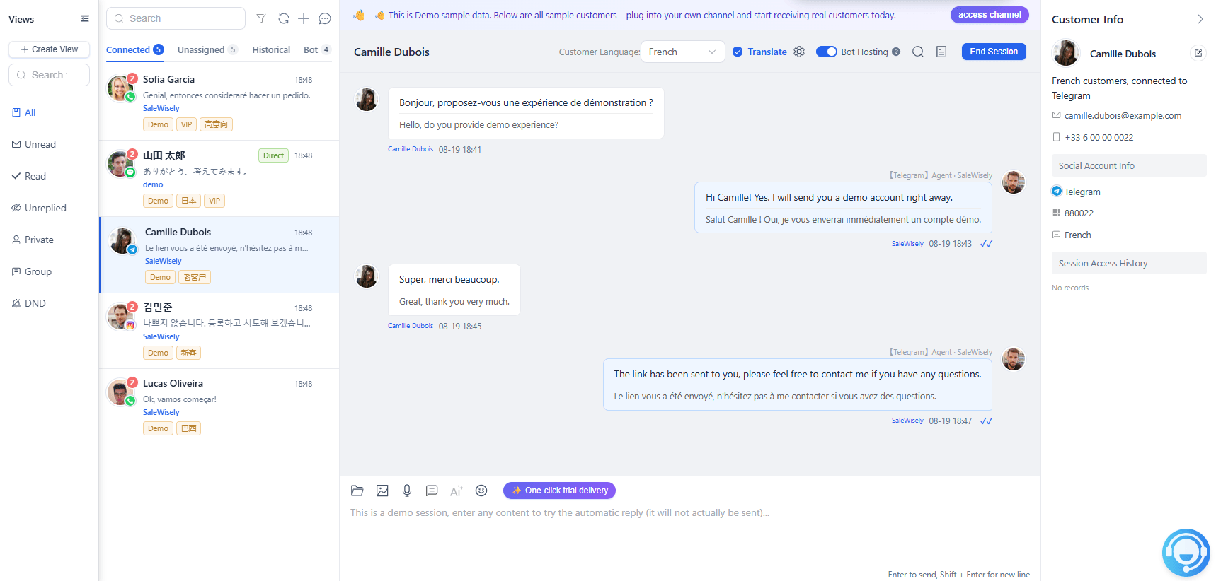 tg-sales-conversation-on-salewisely.png
